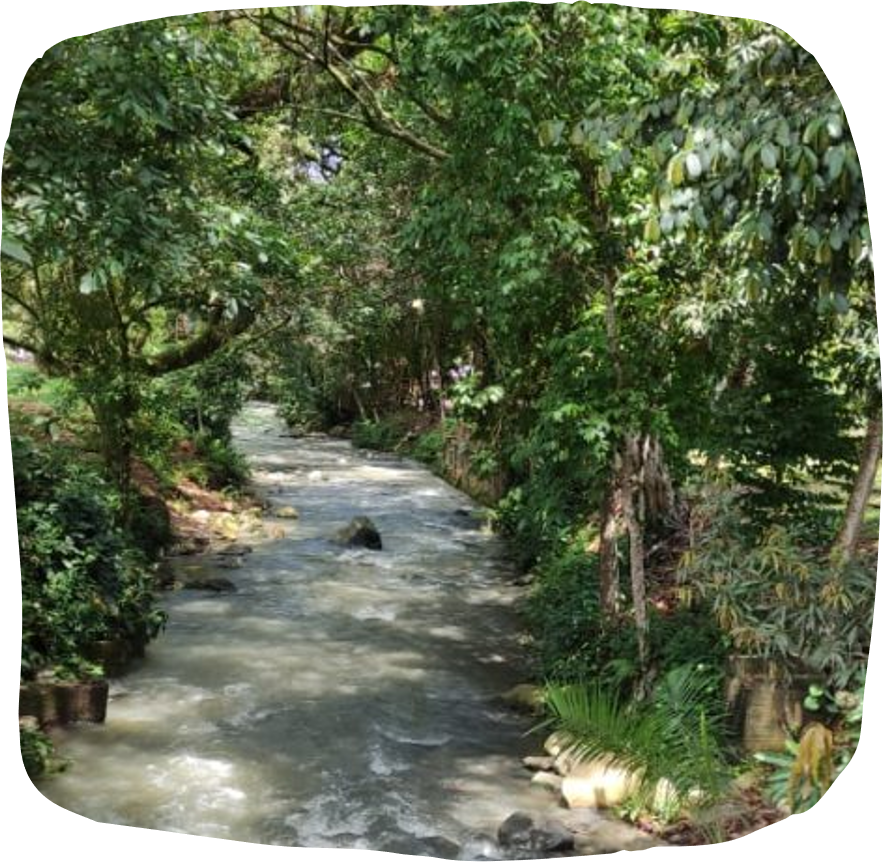 Proyecto de Comercio Justo